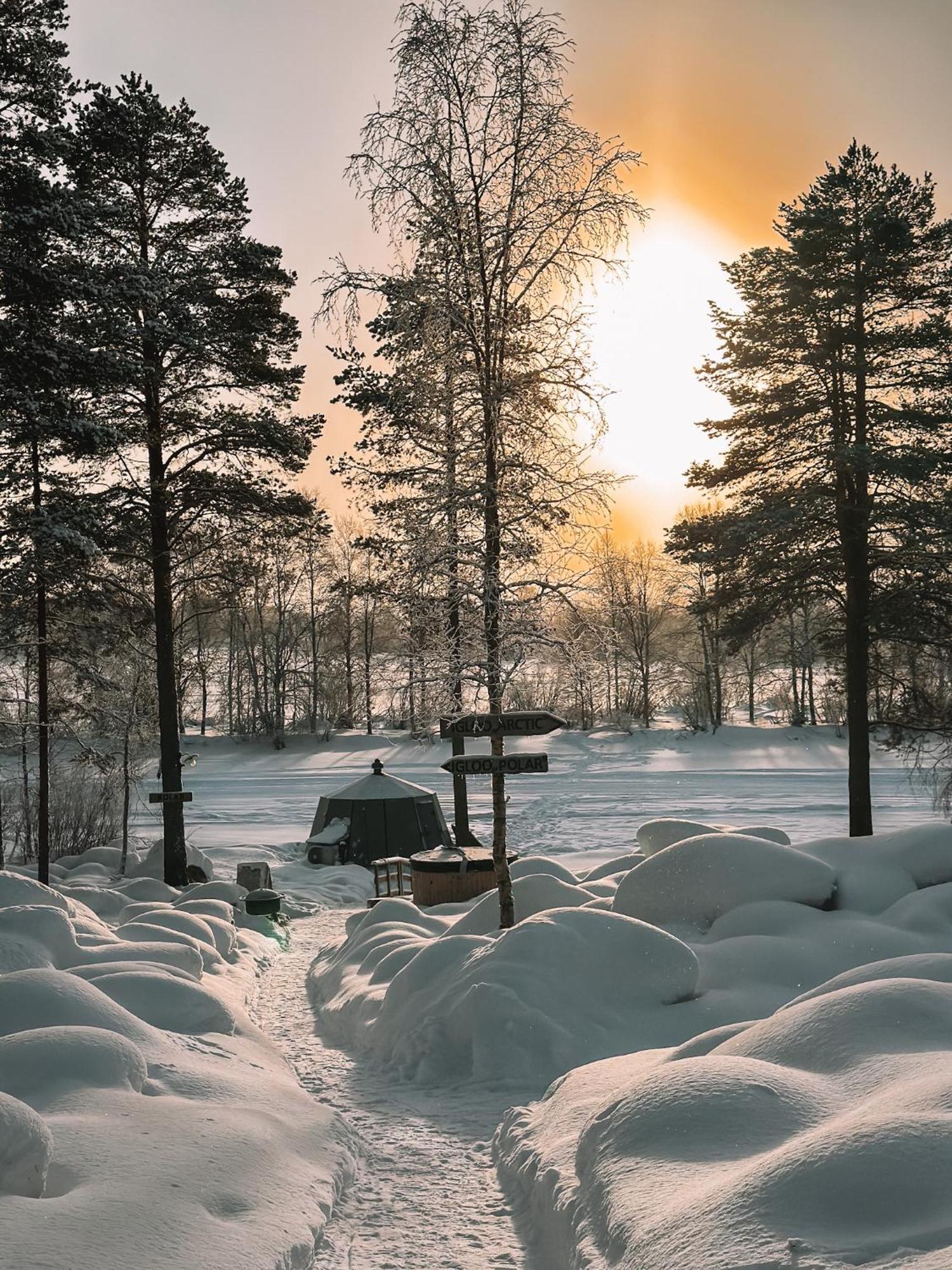 Aurora Igloo With Private Hot Tub By Invisible Forest Lodge 罗瓦涅米 外观 照片